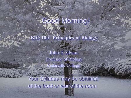 Good Morning! BIO 100 Principles of Biology John E.Silvius Professor of Biology Cedarville College Your Syllabus may be obtained at the front or rear of.