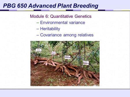 PBG 650 Advanced Plant Breeding