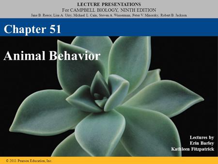 LECTURE PRESENTATIONS For CAMPBELL BIOLOGY, NINTH EDITION Jane B. Reece, Lisa A. Urry, Michael L. Cain, Steven A. Wasserman, Peter V. Minorsky, Robert.