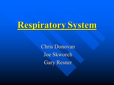 Respiratory System Chris Donovan Joe Skworch Gary Resner.