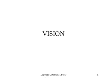 Copyright Catherine M. Burns1 VISION. Copyright Catherine M. Burns2 The Visual System sensor system for electro-magnetic radiation typically 400nm (blue-violet)