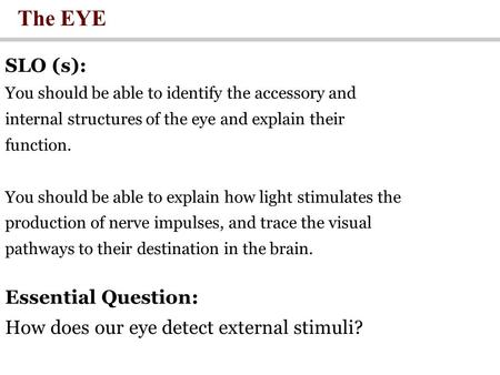 The EYE SLO (s): You should be able to identify the accessory and internal structures of the eye and explain their function. You should be able to explain.