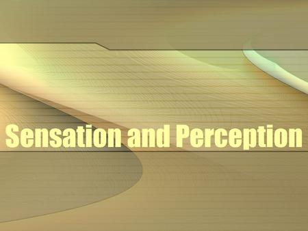 Sensation and Perception