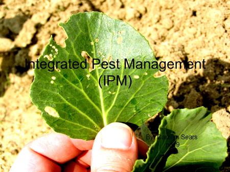 Integrated Pest Management (IPM) By: Carolyn Sears pd. 9.