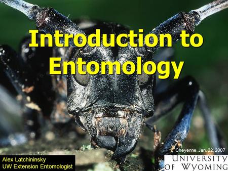 Introduction to Entomology Alex Latchininsky UW Extension Entomologist Cheyenne, Jan. 22, 2007.