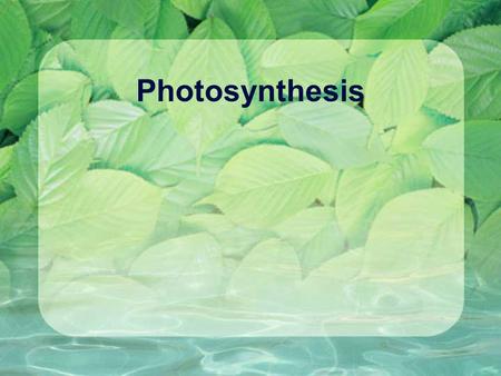 Photosynthesis.