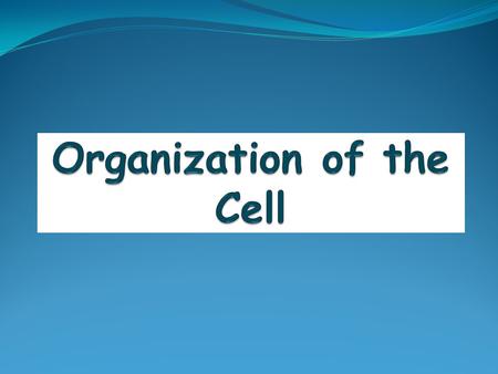 Organization of the Cell