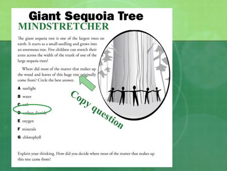 MINDSTRETCHER Copy question. Study your homework Get out your homework and read it 2 times silently. Get out a blank piece paper and put your heading.