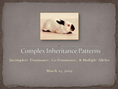 Complex Inheritance Patterns