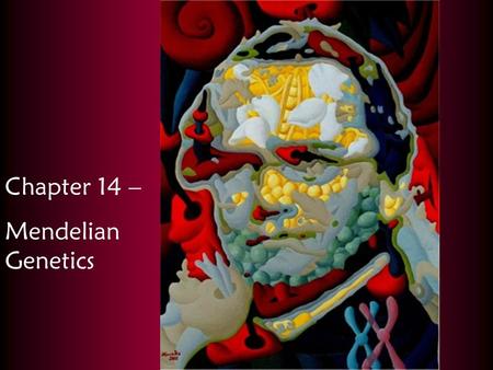 Chapter 14 – Mendelian Genetics. Blending vs. Particulate Theory of Inheritance Traits of offspring were a “blend” of the parental traits. Infer  over.