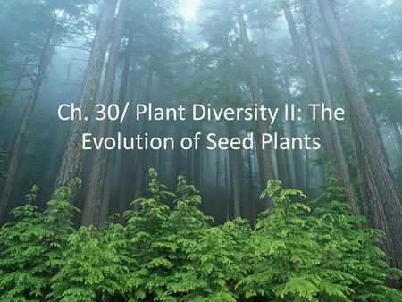 Ch. 30/ Plant Diversity II: The Evolution of Seed Plants.