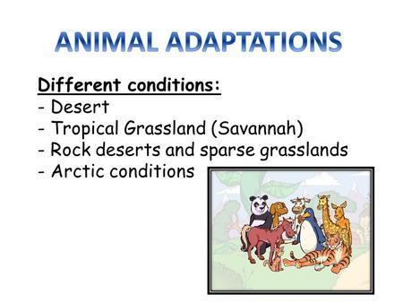 Different conditions: - Desert - Tropical Grassland (Savannah) - Rock deserts and sparse grasslands - Arctic conditions.