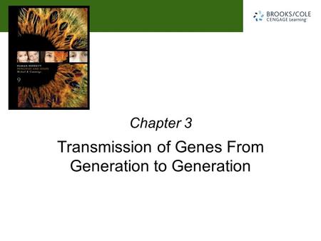 Michael R. Cummings David Reisman University of South Carolina Transmission of Genes From Generation to Generation Chapter 3.