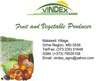 Malaiesti Village, Orhei Region, MD-3536 Tel/Fax: (373 235) 51648 GSM: (+373) 79535158   Fruit and Vegetable Producer.