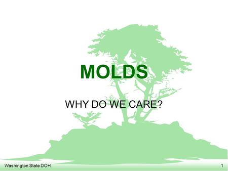 Washington State DOH1 MOLDS WHY DO WE CARE?. Washington State DOH2 MOLDS F Health effects F Common molds F Testing for molds F Clean-up of moldy environments.