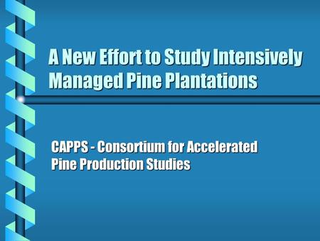 A New Effort to Study Intensively Managed Pine Plantations CAPPS - Consortium for Accelerated Pine Production Studies.