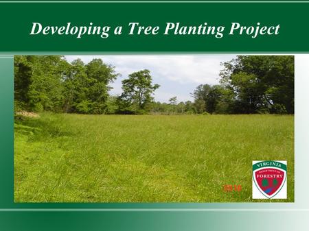 Developing a Tree Planting Project. Establishment Steps Determine area to plant Determine appropriate species to plant Site prepare area & plant trees.