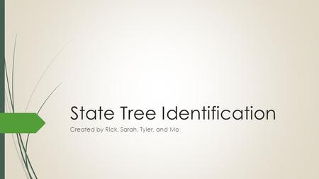 State Tree Identification Created by Rick, Sarah, Tyler, and Mo.