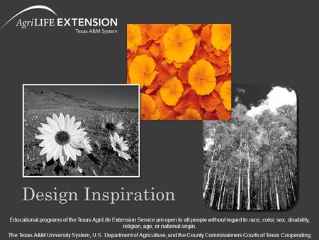 Design Inspiration Educational programs of the Texas AgriLife Extension Service are open to all people without regard to race, color, sex, disability,