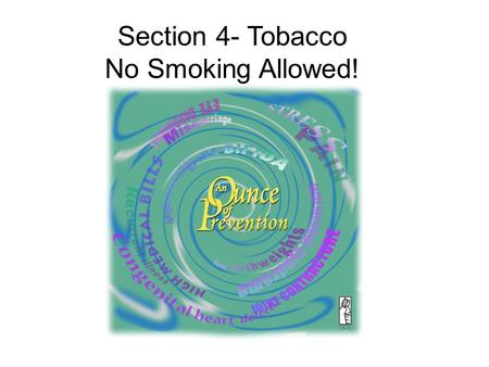 Section 4- Tobacco No Smoking Allowed!.