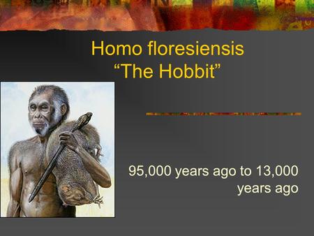 Homo floresiensis “The Hobbit” 95,000 years ago to 13,000 years ago.