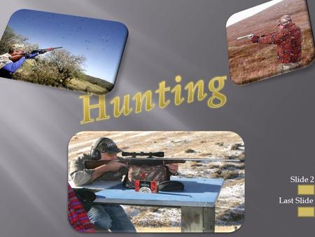 Slide 2 Last Slide  Hunting is a sport where you take your rifle or shotgun and you shoot animals with your gun  Hunting is a way to get food aswell.