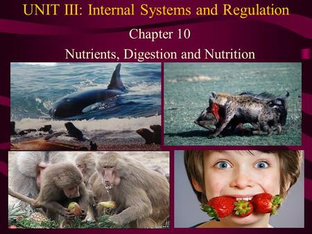 UNIT III: Internal Systems and Regulation Chapter 10 Nutrients, Digestion and Nutrition.