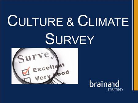 C ULTURE & C LIMATE S URVEY. Sample Employee Survey Report Findings ACME Widgets.