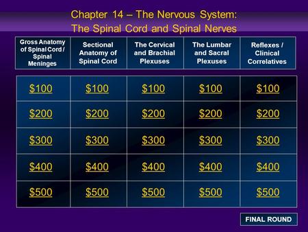 Chapter 14 – The Nervous System: The Spinal Cord and Spinal Nerves $100 $200 $300 $400 $500 $100$100$100 $200 $300 $400 $500 Gross Anatomy of Spinal Cord.