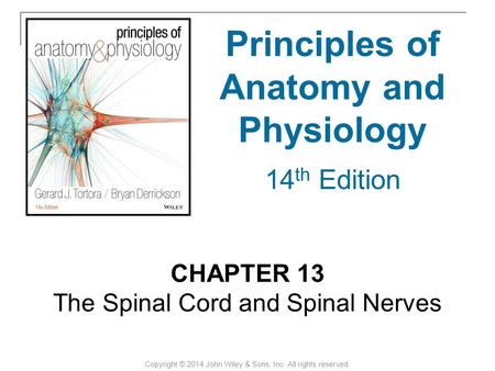 Principles of Anatomy and Physiology