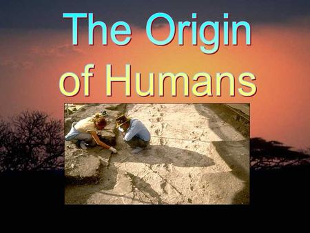 The Origin of Humans.