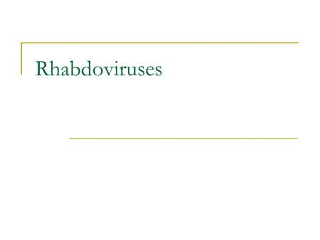 Rhabdoviruses. Rhabdoviridae Rhabdos (greek)rod Pathogens of mammals, birds, fish, plants.