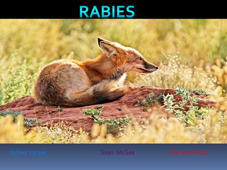 Rabies Ashley Vargas			Sean McGee		Giovanni Perez.