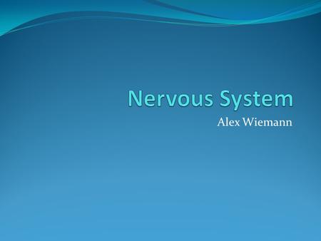 Alex Wiemann. Function of Nervous System Coordinates actions and transmits signals between parts of a body.