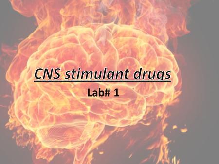 Lab# 1. The Nervous System CNS BrainSpinal cord PNS Sensory division (afferent) Motor division (efferent) Somatic nervous system (voluntary) Autonomic.