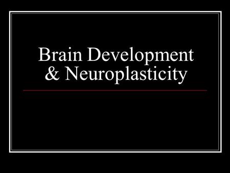 Brain Development & Neuroplasticity