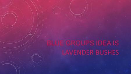 BLUE GROUPS IDEA IS LAVENDER BUSHES. We are going to put lavender bushes down the side of the school. So people will stick to the path. We’re not using.