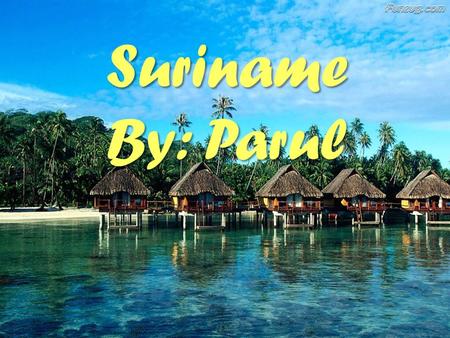 Suriname By: Parul. Fast Facts Capital: Paramaribo Largest City: Paramaribo Currency: Suriname Dollar Land: 63,038 sq miles Official language: Dutch Population: