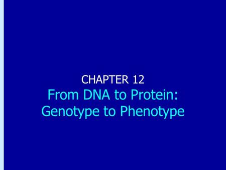 Chapter 12: From DNA to Protein: Genotype to Phenotype CHAPTER 12 From DNA to Protein: Genotype to Phenotype.