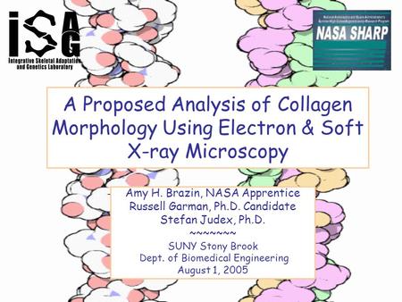 A Proposed Analysis of Collagen Morphology Using Electron & Soft X-ray Microscopy Amy H. Brazin, NASA Apprentice Russell Garman, Ph.D. Candidate Stefan.