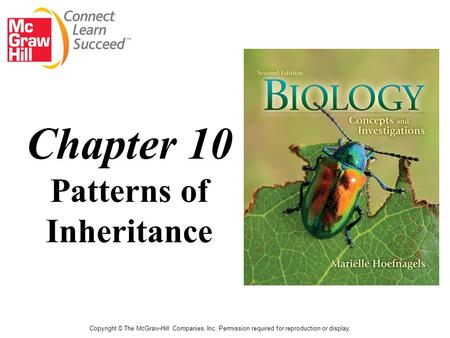 Copyright © The McGraw-Hill Companies, Inc. Permission required for reproduction or display. Chapter 10 Patterns of Inheritance.