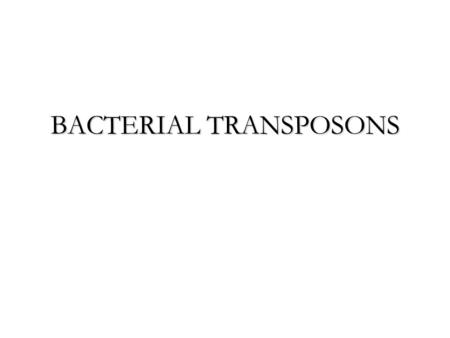 BACTERIAL TRANSPOSONS