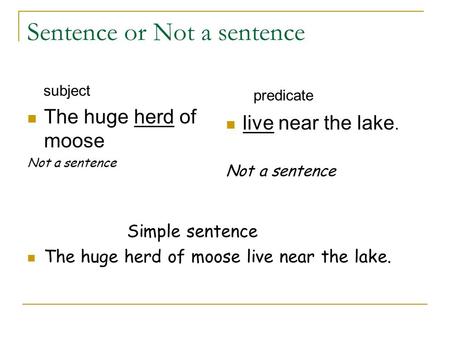 Sentence or Not a sentence subject The huge herd of moose Not a sentence Simple sentence The huge herd of moose live near the lake. predicate live near.