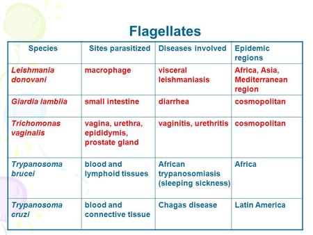 Flagellates Species Sites parasitizedDiseases involvedEpidemic regions Leishmania donovani macrophagevisceral leishmaniasis Africa, Asia, Mediterranean.