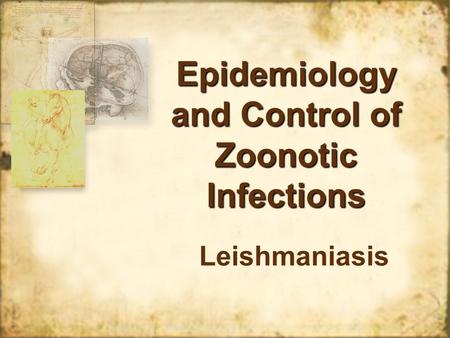 Epidemiology and Control of Zoonotic Infections Leishmaniasis.