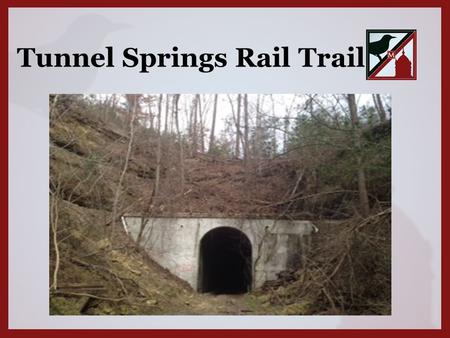 Tunnel Springs Rail Trail. Tunnel Springs Rail Trail is located in North Monroe County connecting Tunnel Springs to Beatrice, Alabama. The Trail is geographically.