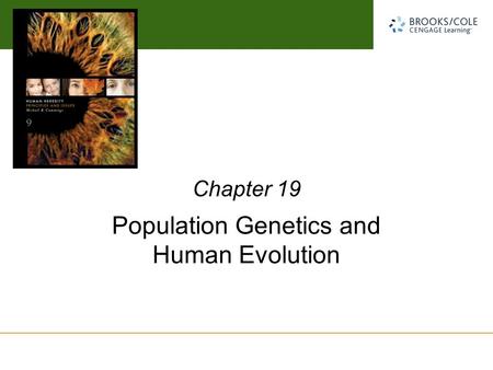 Population Genetics and Human Evolution