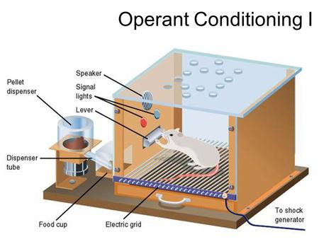 Operant Conditioning I