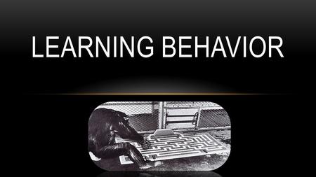 LEARNING BEHAVIOR. WHAT IS LEARNING???? LEARNING IS EXPERIENCE-BASED MODIFICATION OF BEHAVIOR Animals need not witness a developmentally fixed (innate)