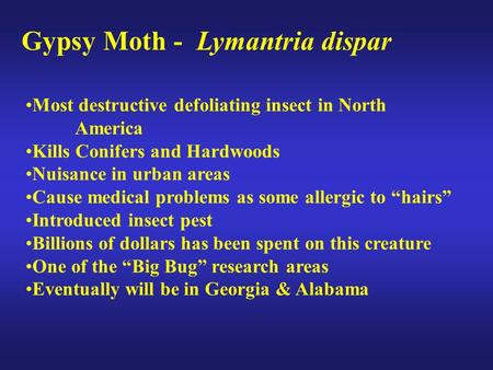 Gypsy Moth - Lymantria dispar Most destructive defoliating insect in North America Kills Conifers and Hardwoods Nuisance in urban areas Cause medical problems.